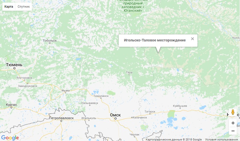 Игольско-Таловое 1