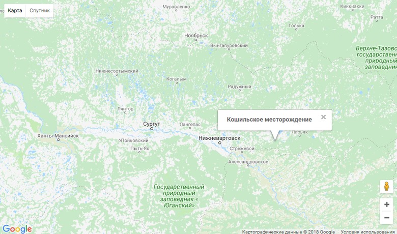 Кошильское карта