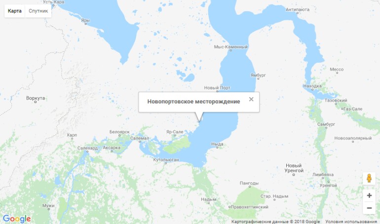 новопортовское карта