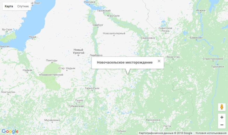 новочасельское карта
