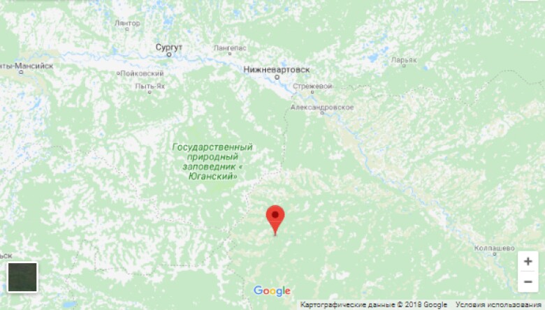 поселковое карта