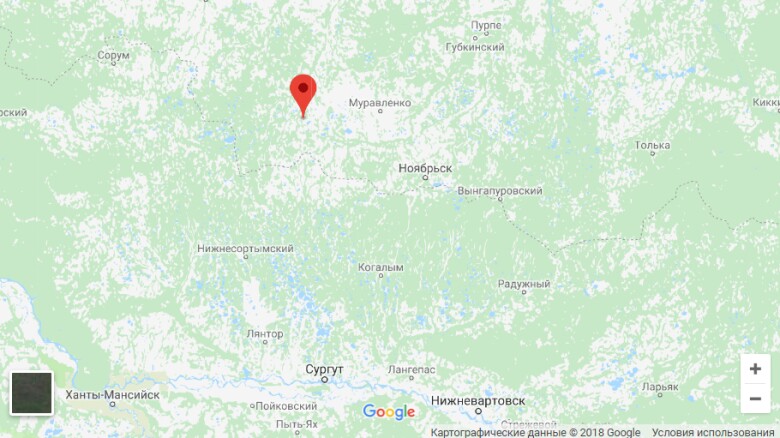 пякутинское карта