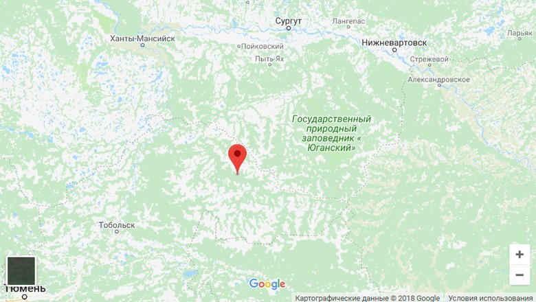 тямкинское карта