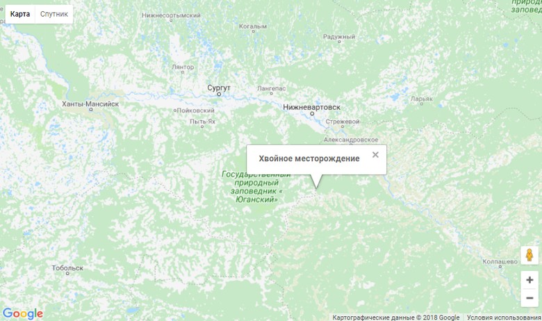 Хвойное месторождение карта