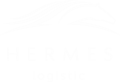 Гермес Логистик